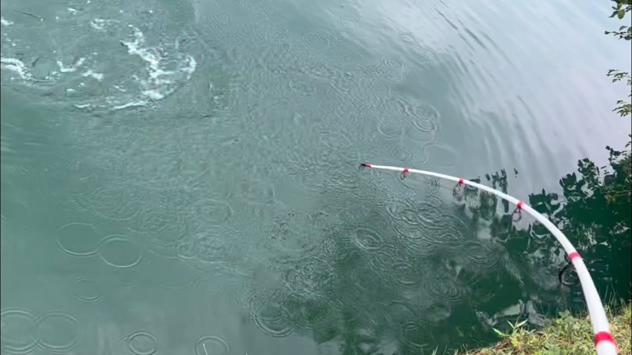 Epic Fishing Trip - Massive Catch and Pond Adventure - YouTube