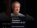 Муравьи реально считают до 30 #никитин #биология #подкаст