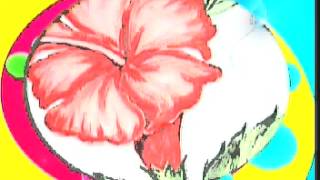 MP2_Apr20_121003_0.mpg