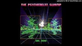 Vignette de la vidéo "Dr. Dog -  Golden Hind"