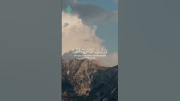 ﴿ إذا جاء نصر الله والفتح ﴾ | سورة النصر بصوت سعد الغامدي | تلاوة خاشعة ومؤثرة