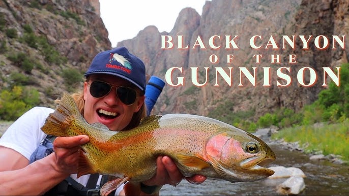 Fly Fishing the Salmonfly Hatch of the Black Canyon in Colorado