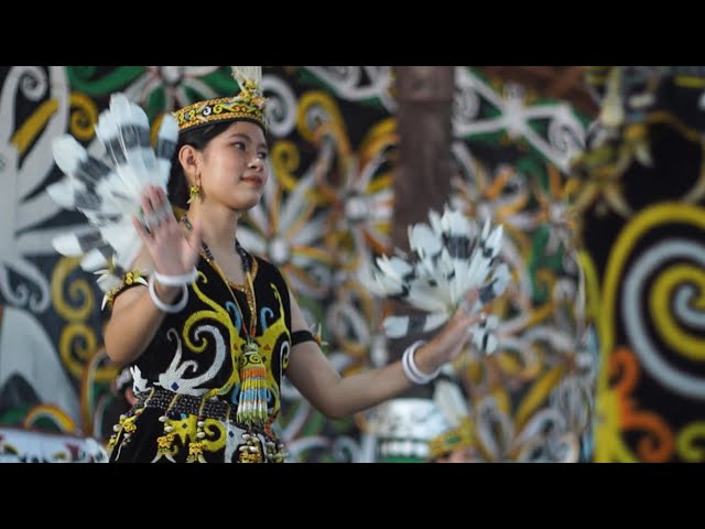 Festival Budaya Dayak Kenyah di Sungai Bawang , September 2023 ( Part 3 ) class=