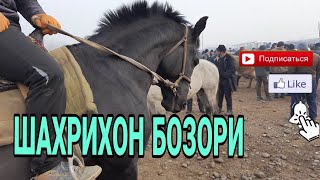 ШАХРИХОН ОТ БОЗОРИ/АНДИЖОН ШАХРИХОН ОТ БОЗОРИ/ШАХРИХОН ХОЛДАНБЕК ОТ БОЗОРИ/SHAXRIHON OT BOZORI/16.03 ШАХРИХОН ОТ БОЗОРИ/АНДИЖОН ШАХРИХОН ОТ БОЗОРИ/ШАХРИХОН ХОЛДАНБЕК ОТ БОЗОРИ/SHAXRIHON OT BOZORI/16.03
