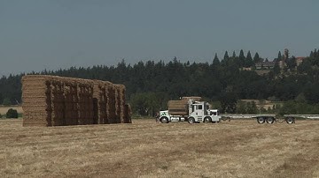 Anderson Hay & Grain Corporate Video