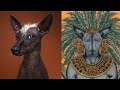 Historia del Xoloitzcuintle. El perro mexicano. の動画、YouTube動画。