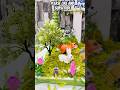Europe mixed forest and meadow 3d model#viral #ytshorts #school #craft