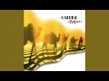Camel Shout 