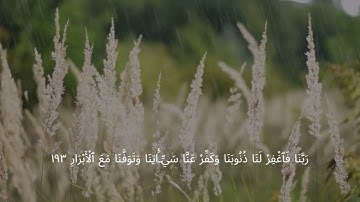 سورة ال عمران القارئ محمد سايد رواية ورش عن النافع