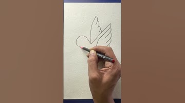 How to draw a hummingbird with pencil