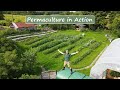 Permaculture in Action | The 12 Principles Demonstrated