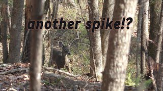 its always just a spike!!