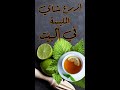 زراعة شاي عشبة المليسة او المليسا عبارة عن نعنان بطعم وريحة الليمون 