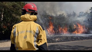 Gironde : ce que l'on sait de l'incendie près de Landiras, qui a ravagé 6.000 hectares