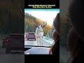 OH MY GOD! A White Moose Just Blocked the Road in Alaska!  Epic Wildlife POV”