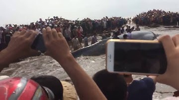 Người Dân Hà Tĩnh Giải Cứu Chú Cá Voi Mắc Kẹt Vào Bờ Biển (P2)