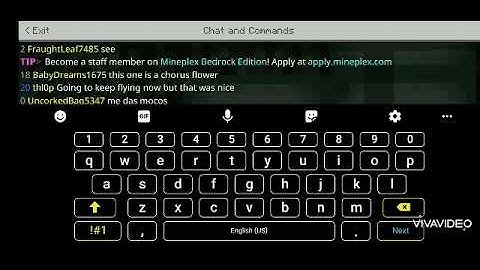 The return of the illegals (Mineplex Survival ft. Outpasta)