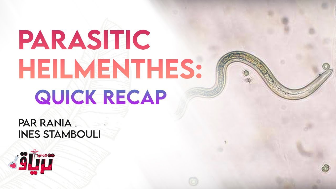#Parasitologie Parasitic heilmenthes : quick recap Par Rania & ines