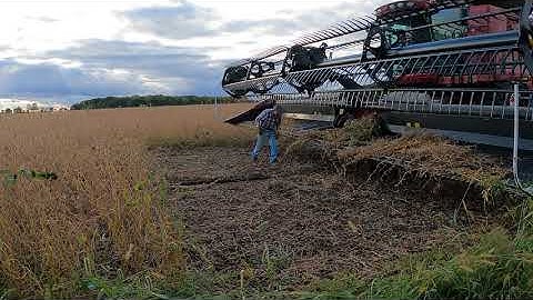 Have You Had This Trouble Before? Case IH 7230 Axial-Flow Combine - MacDon FD75 FlexDraper®
