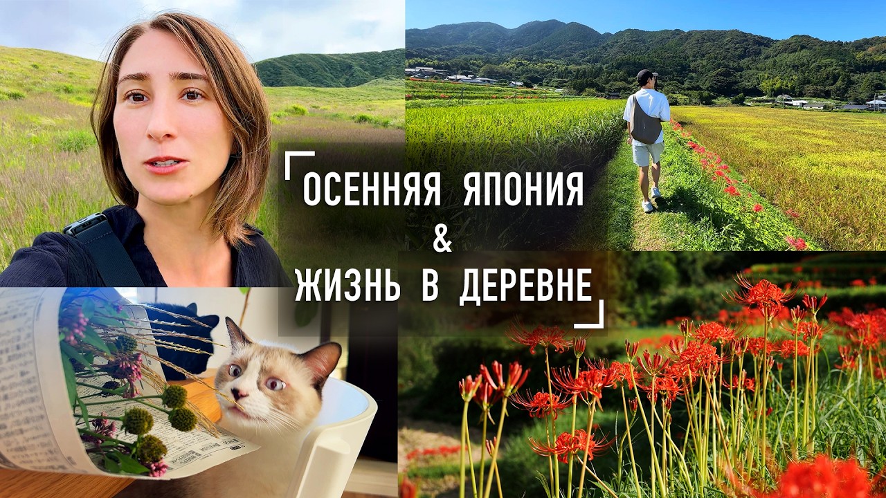 Обычные дни в Японии в октябре! Период почитания предков и сбора урожая