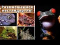 Размножаемся нестандартно!