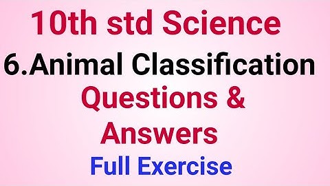 10th std Science Animal Classification Full Exercise | Questions and answers Lesson 6 class 10