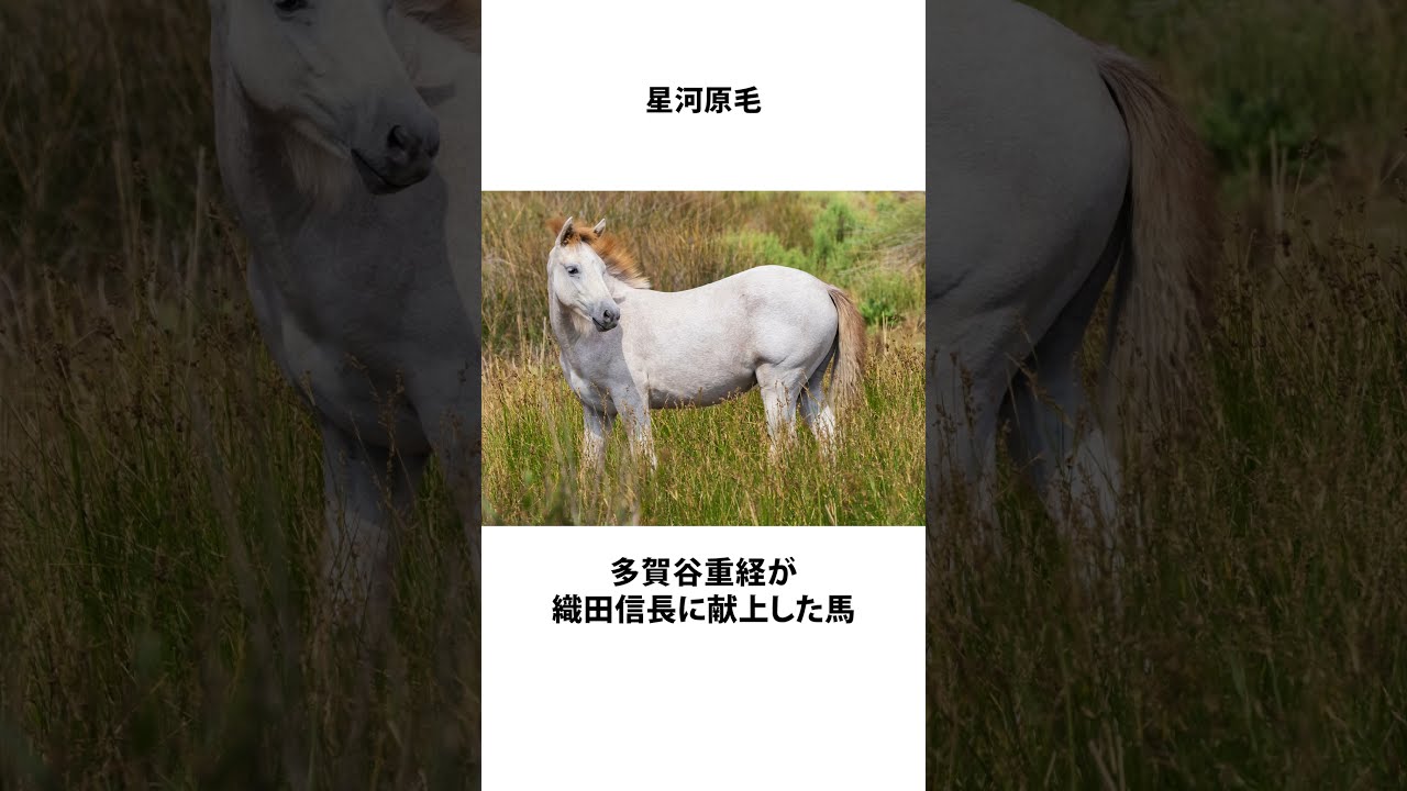 戦国デコトラ☆前田慶次 （ラジコン デコトラのYahoo