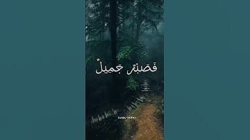 فصبر جميل عسى الله أن يأتيني بهم جميعا#قرآن#قران_كريم#سورة_يوسف #اللهم_صل_على_محمد_وال_محمد