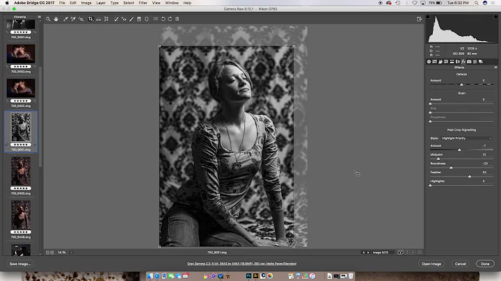 Saving presets in Adobe Camera Raw