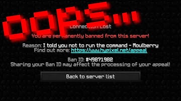 I Was Told NEVER To Do This... (Hypixel Skyblock)