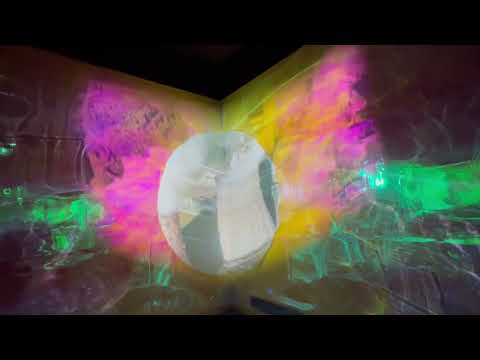 Primordial Immersive Room Video 1 Mills College MFA Exhibition May 2022