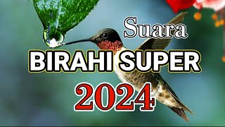 SUARA BIRAHI SUPER 2024