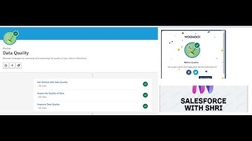 Assess the Quality of Data || Data Quality Trailhead challenge || Salesforce