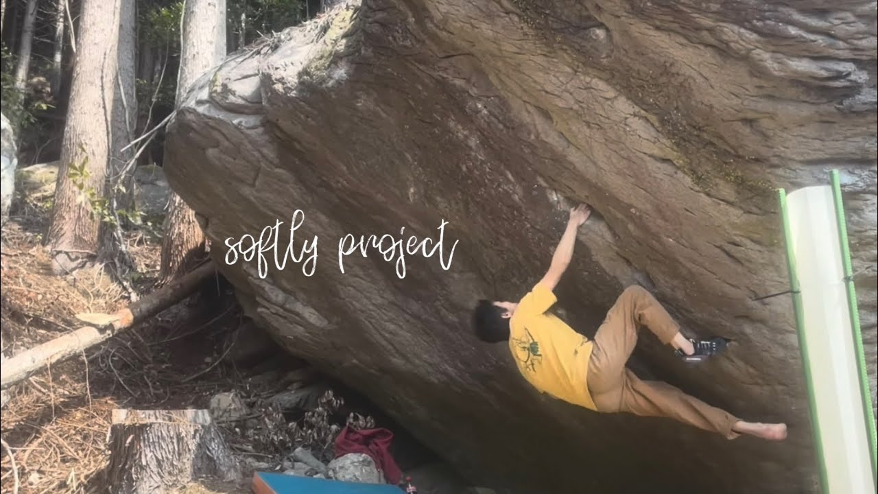 softly v14 ／Day1~8 ,2025.12 初登