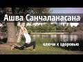 Ашва Санчаланасана - ключи к здоровью