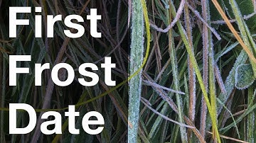 Instafarm: First Frost Date