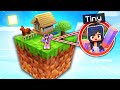 I'm TINY And Living On ONE BLOCK In Minecraft!