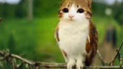 Phá hư project game indie bằng cách nâng lên Unity 6