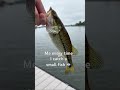 awwwwww so cute 😊 #fishing #fish #fyp #shorts