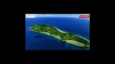 PRESLAVA   S NERVITE SAM ZLE   Преслава   С нервит 🔥 TOP BULGARIAN HITS 2025 Turbo-Folk Balkan Mix