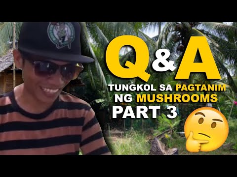 Video: Hardin Sa Mga Tanong At Sagot