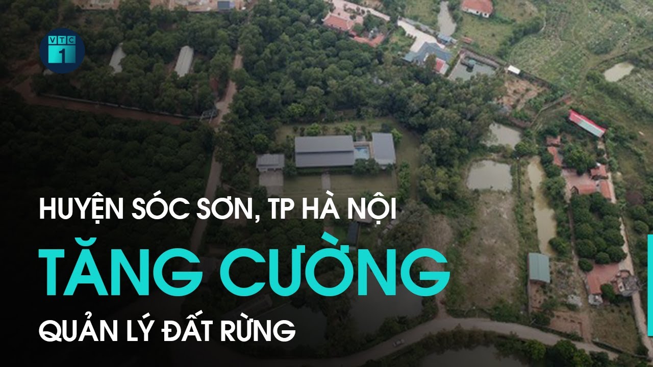 sóc sơn  Update 2022  Huyện Sóc Sơn, Tp Hà Nội: Tăng cường quản lý đất rừng