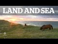 Land Sea Sable Island 