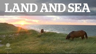 Land & Sea: Sable Island screenshot 5