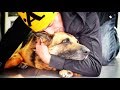 His dog was dying but he loved her so much... he had to save her!