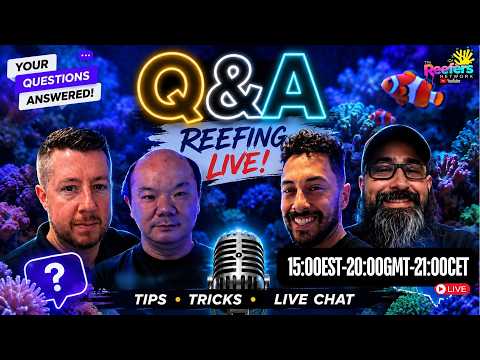 TRN FRIDAY LIVE "REEFING Q&A" video preview