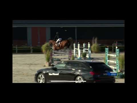 Rosa KC 7/8 yo CSIYH Peelbergen