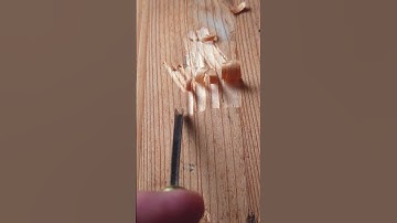 Chisel type #tools #woodworking