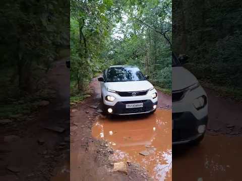 Tata Punch forest