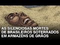 As silenciosas mortes de brasileiros soterrados em armazéns de grãos